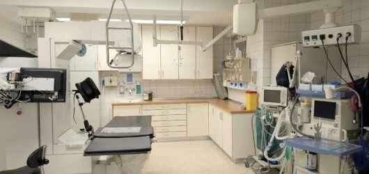 Top Hospitals in Bangladesh for Surgery and Treatment